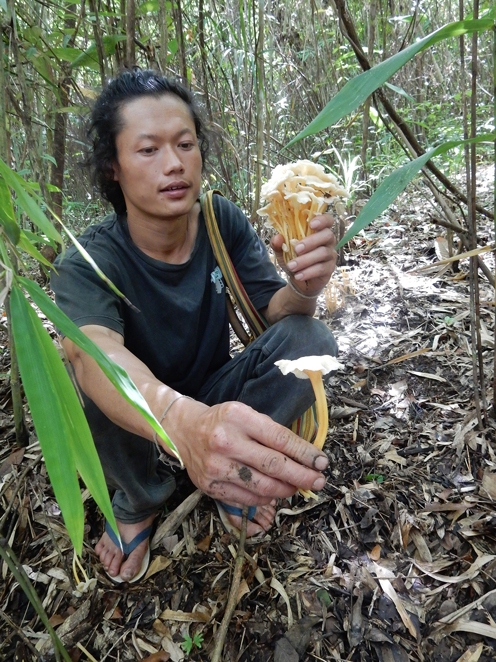 Forest food: Hin Lad Nai community members tracked mushrooms and other edible plants for MEB approaches, while logging their fields and agricultural practices. Copyright: Pernilla Malmer.