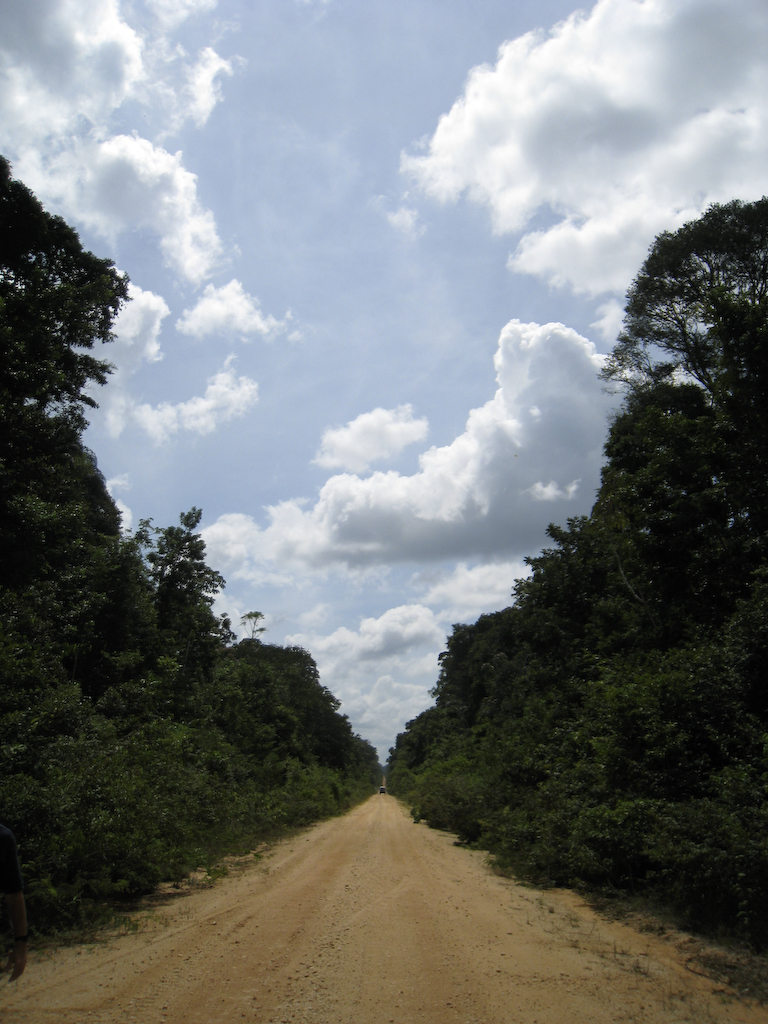 Guyana has one main road between the capital, Georgetown, and Lethem, across the Brazilian border. Most travel in the interior requires a bush plane or a boat. Photo: Erica Gies.