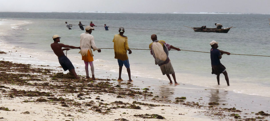Seining for fish from the beach in Mombasa. Photo: Tim Daw/SRC.