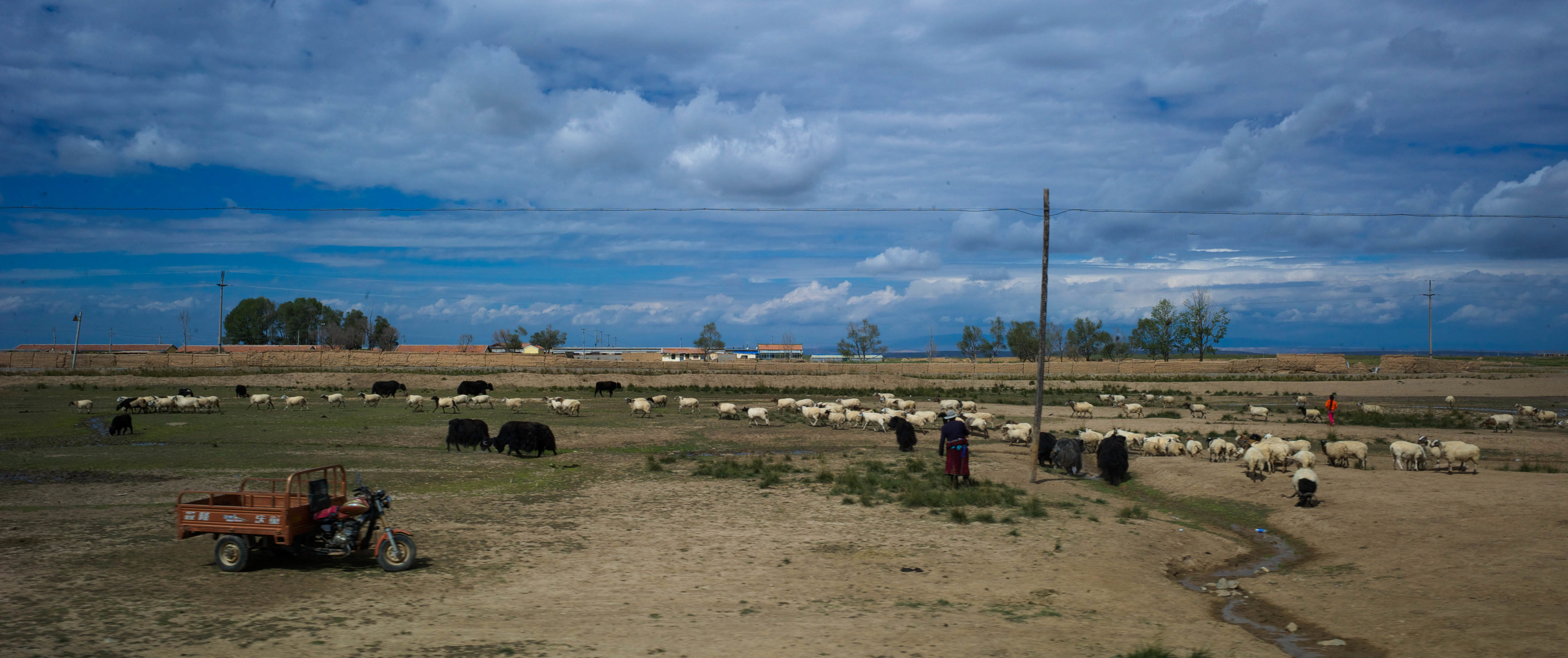 Herders in the Quinghai-Tibetan plateau. Photo courtesy of Richard Bardgett.