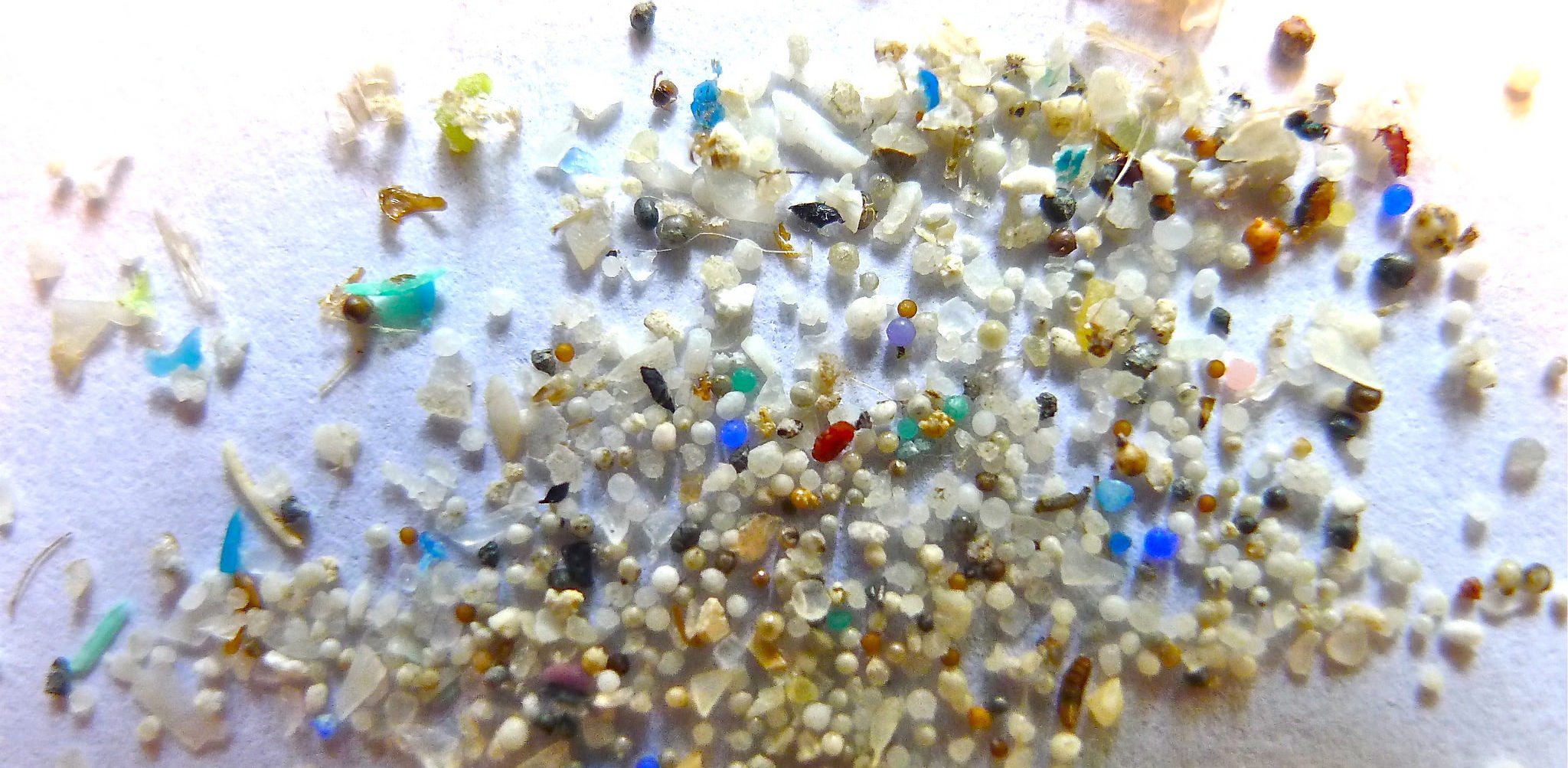 Microplastics. Photo: Oregon State University/Flickr