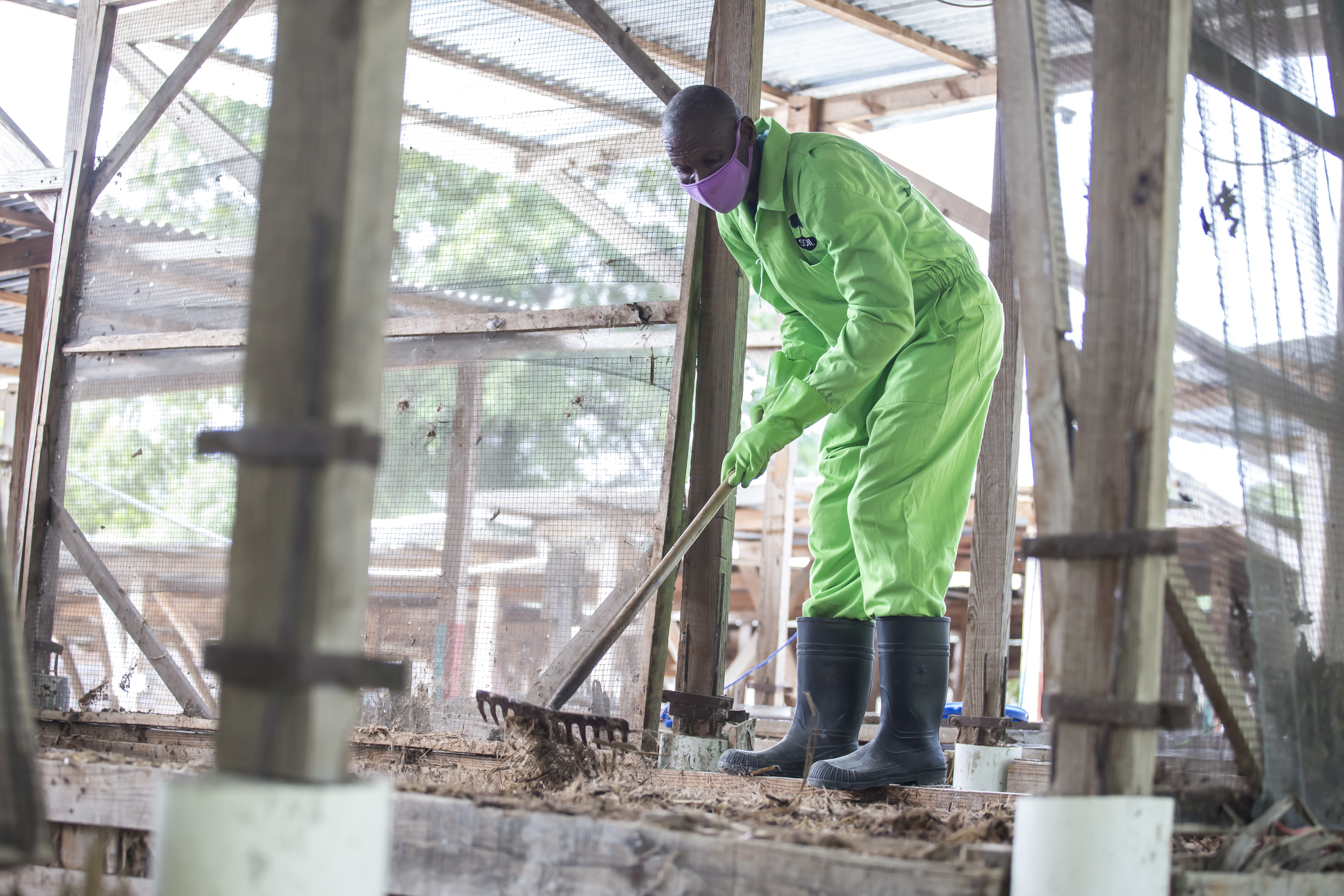 Wearing protective gear, a worker at the composting facility rakes cover material over a newly filled compost bin. Photo: Caleb Alcenat/Labelimage for Project #WasteNot (Creative Commons).